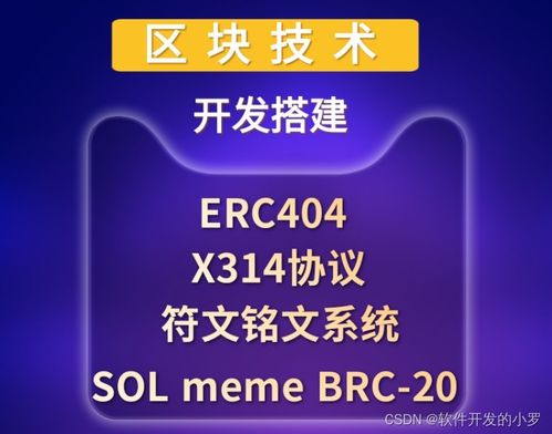 區(qū)塊鏈核心技術(shù)開(kāi)發(fā)全棧實(shí)踐 從x314協(xié)議到智能合約與公鏈搭建