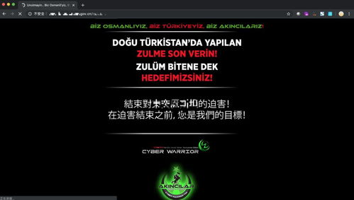 常見網絡安全風險及應對策略 聚焦網絡與信息安全軟件開發